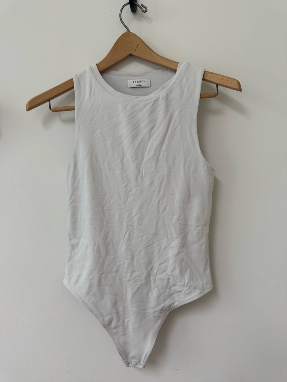 Babaton Contour Muscle Bodysuit from Aritzia